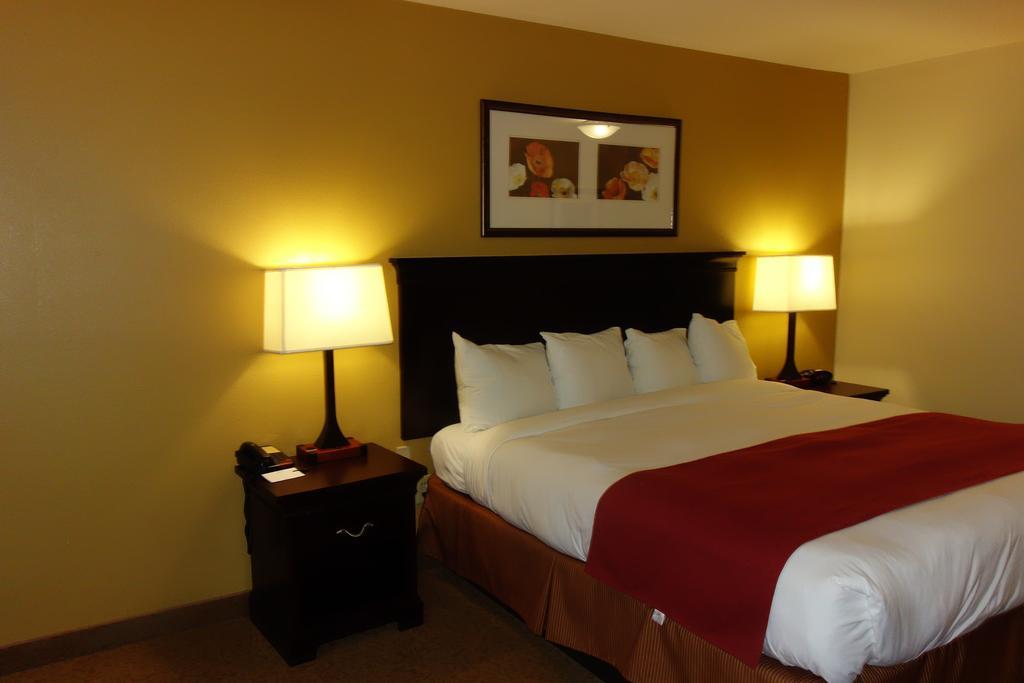 Comfort Inn & Suites Rome South Exterior photo